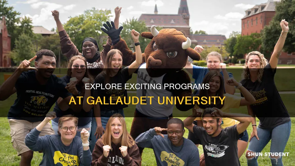 how many programs does gallaudet university have to offer students