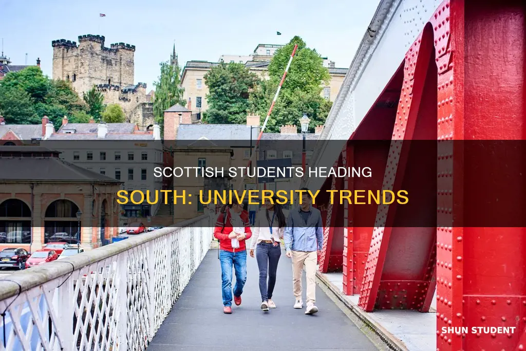 how many scottish students go to english universities