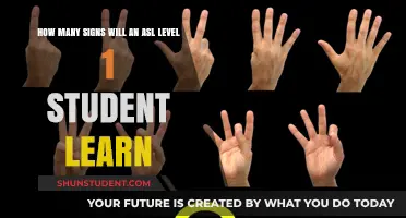 ASL Level 1: Discovering the Essential Signs You'll Master