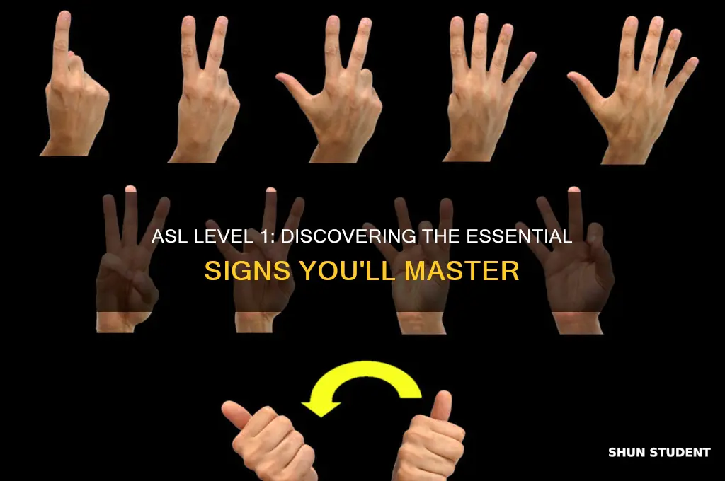 how many signs will an asl level 1 student learn