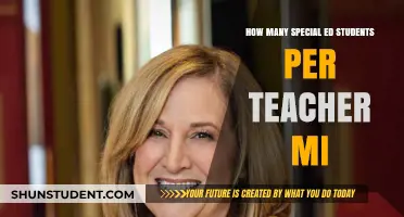 Special Education Teacher-Student Ratios in Michigan: What You Need to Know