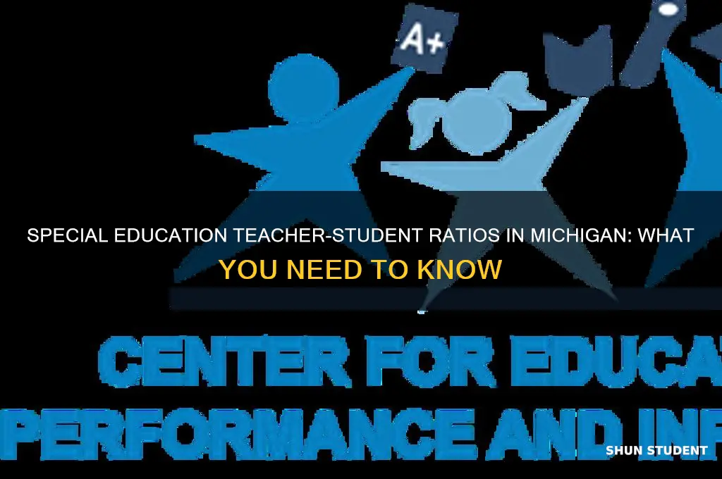 how many special ed students per teacher mi