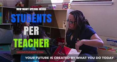 Balancing Support: Teacher-to-Special Needs Student Ratios Explained