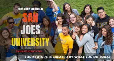 San Jose University: Student Population Insights