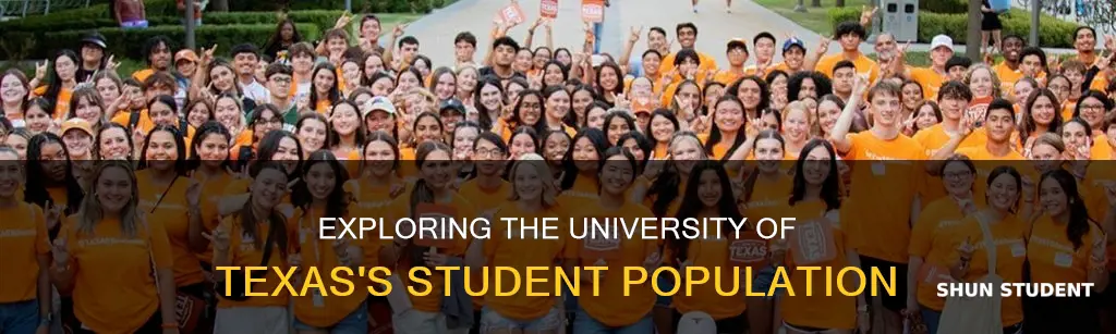 how many student at university of texas