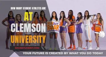 Student-Athletes at Clemson: A Large Number?