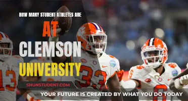 Student Athletes at Clemson: A Large Number