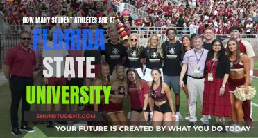 Florida State University: Home to Many Student Athletes