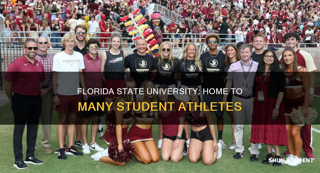 how many student athletes are at florida state university