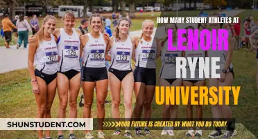 Discovering the Student-Athletes of Lenoir-Ryne University