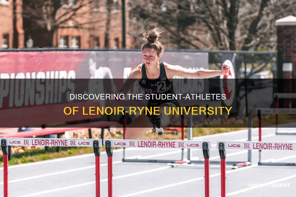 how many student athletes at lenoir ryne university