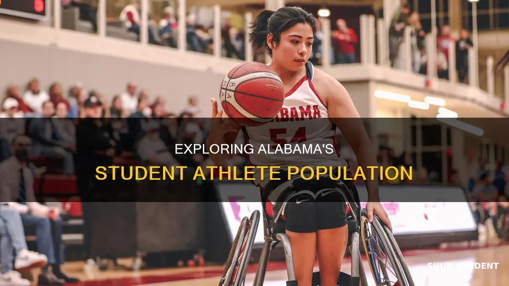 how many student athletes at the university of alabama