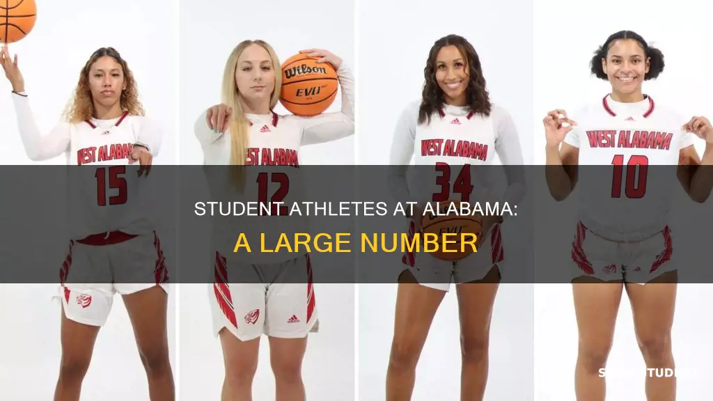 how many student athletes at the university of alabama