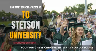 Stetson University: A Haven for Student Athletes