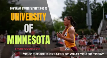 University of Minnesota: Home to Many Student Athletes