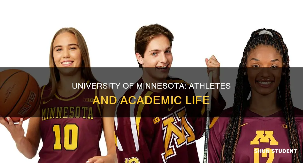 how many student athletes go to university of minnesota