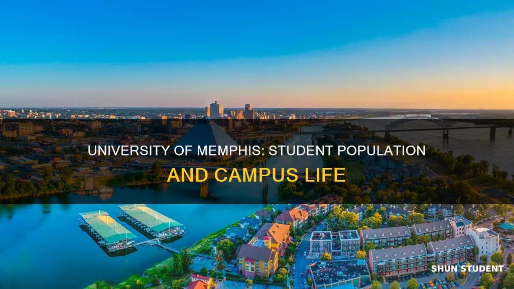 how many student attend university of memphis