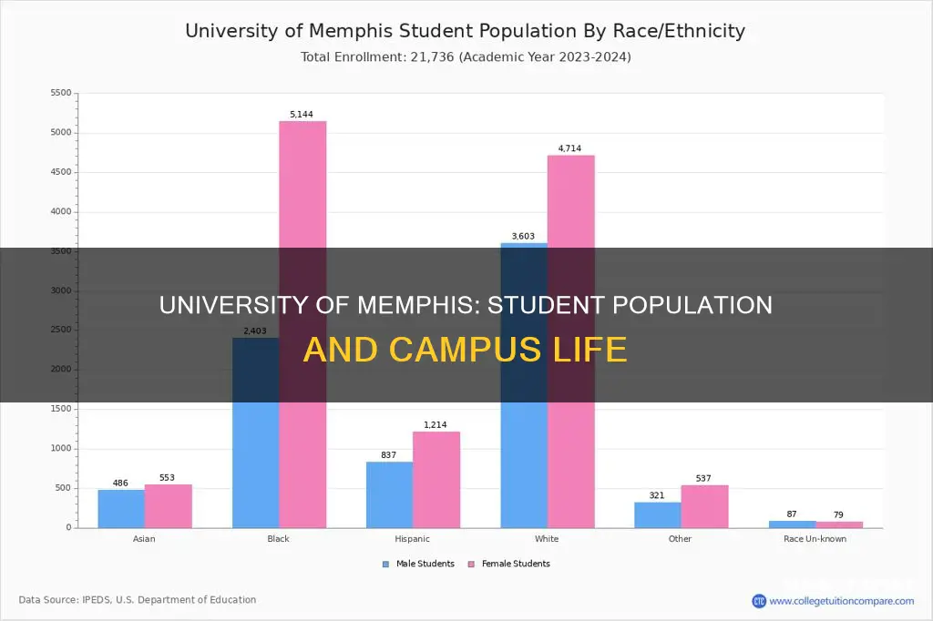 how many student attend university of memphis