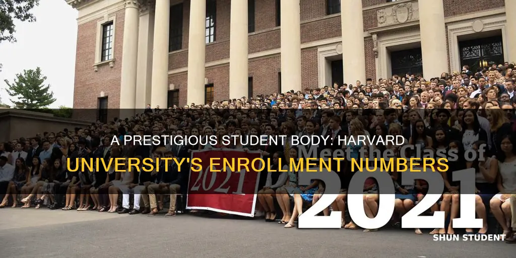 how many student in harvard university