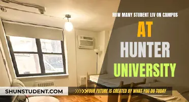 On-Campus Living: Hunter University's Student Life