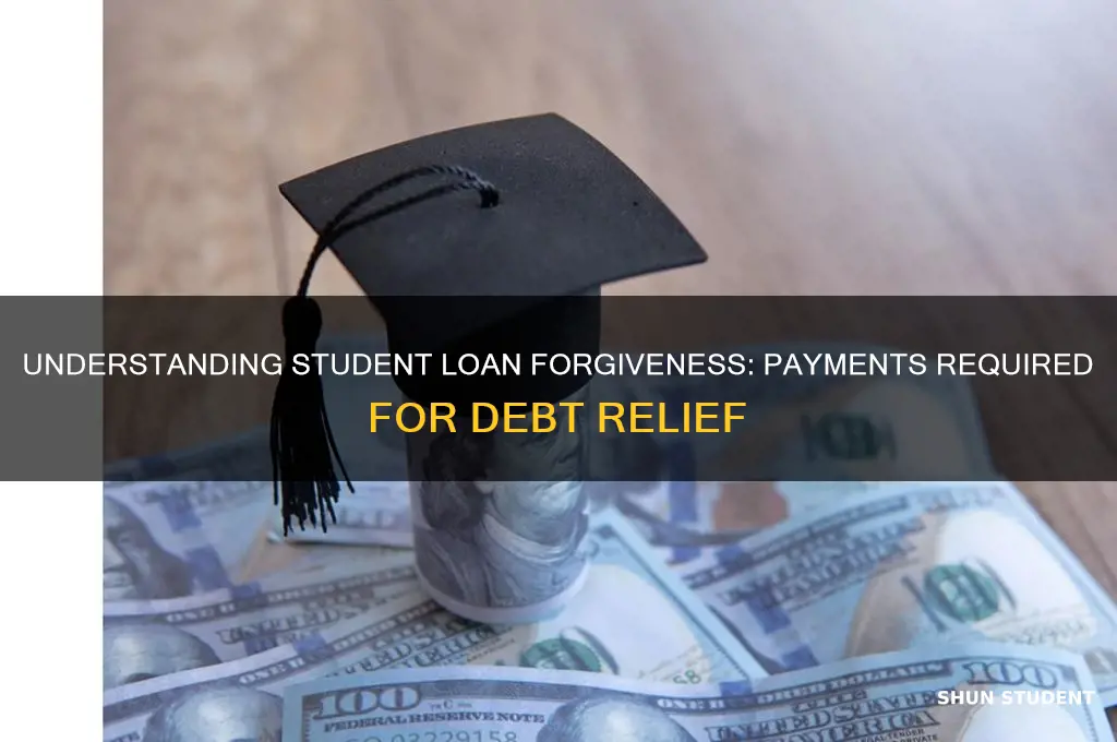 how many student loan payments for loan forgivness