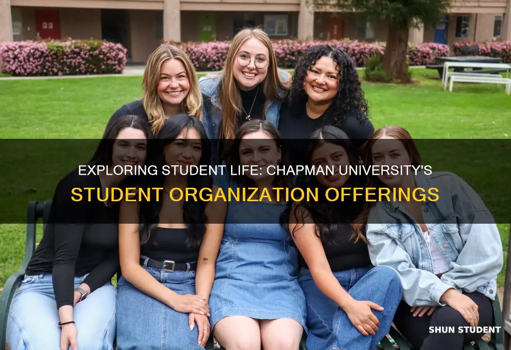 how many student organizations are at chapman university