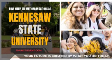 Explore Student Organizations at Kennesaw State University