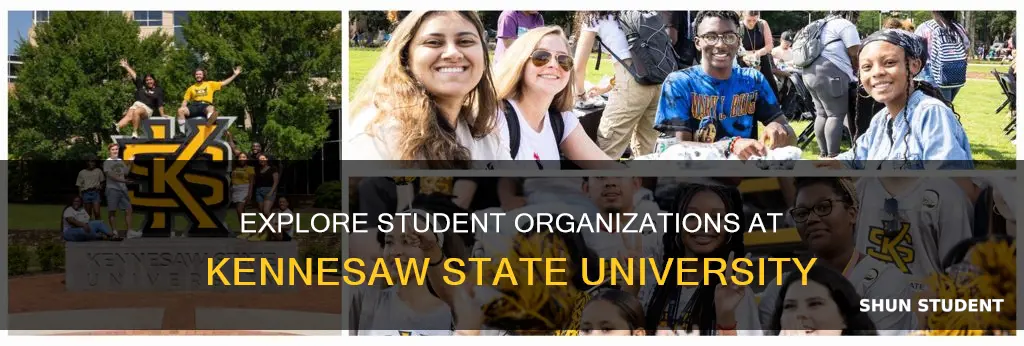 how many student organizations at kennesaw state university