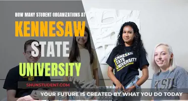 Explore the Countless Student Organizations at Kennesaw State University