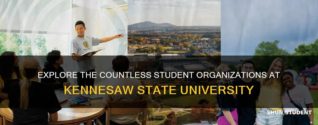 how many student organizations at kennesaw state university