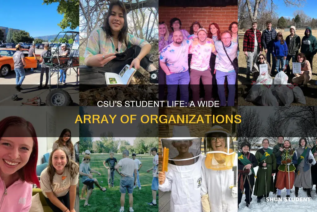how many student organizations does cleveland state university have