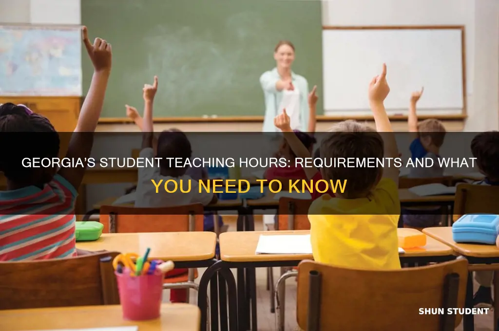 how many student teaching hours ar required in georgia