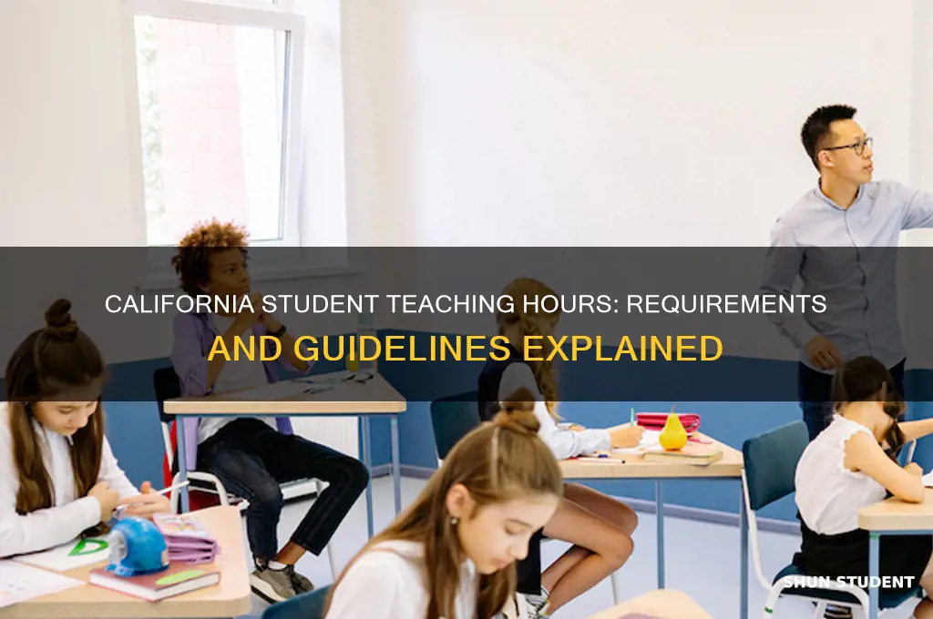 how many student teaching hours are required in california