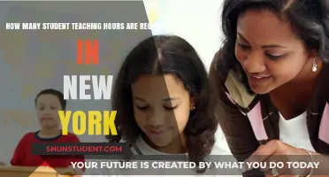 New York Student Teaching Hours: Requirements and Guidelines Explained