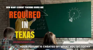 Texas Student Teaching Hours: Requirements and Guidelines for Educators
