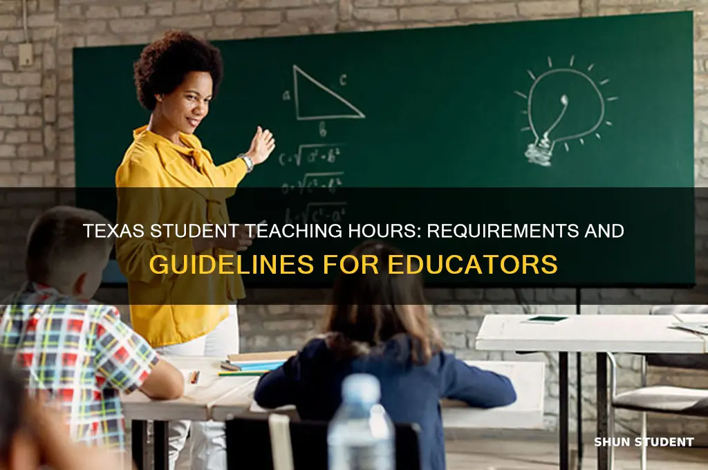 how many student teaching hours are required in texas