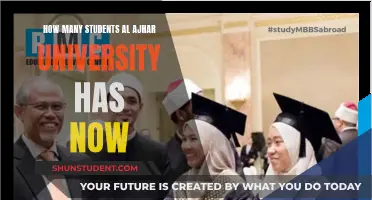 Student Population at Al Ajhar University: Current Numbers