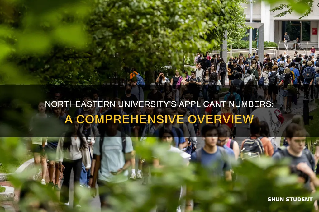 how many students apply to northeastern university