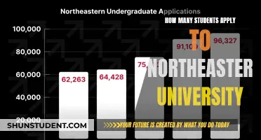 Applications to Northeastern University: A Competitive Landscape