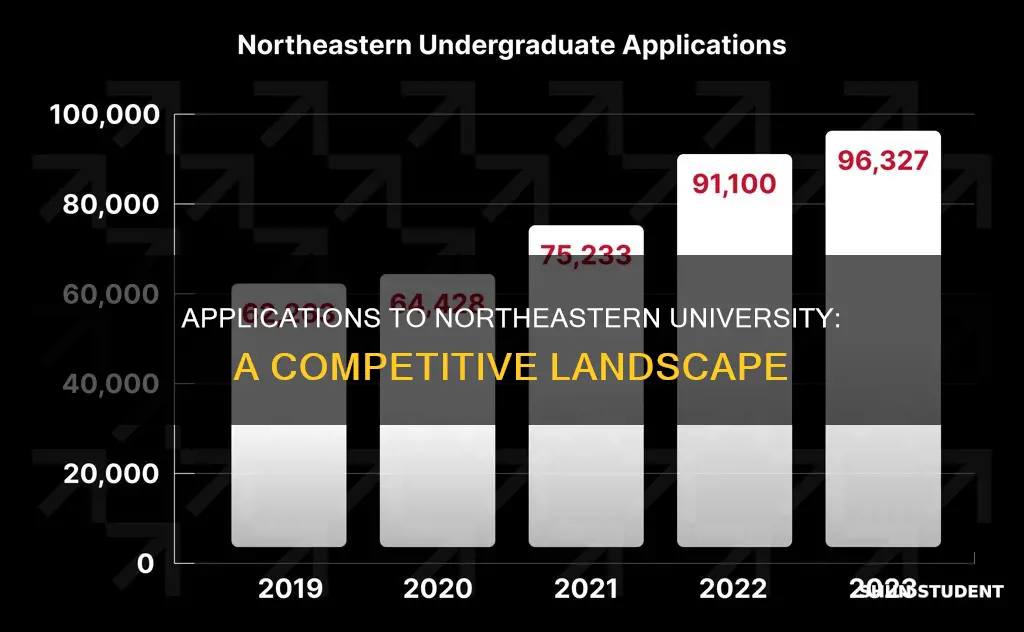 how many students apply to northeastern university