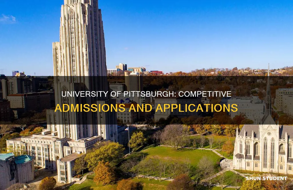 how many students apply to university of pittsburgh