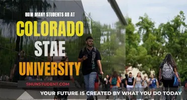 Exploring Enrollment: Colorado State University's Student Population