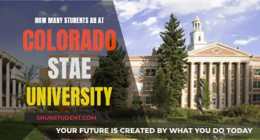 CSU Student Population: How Many?