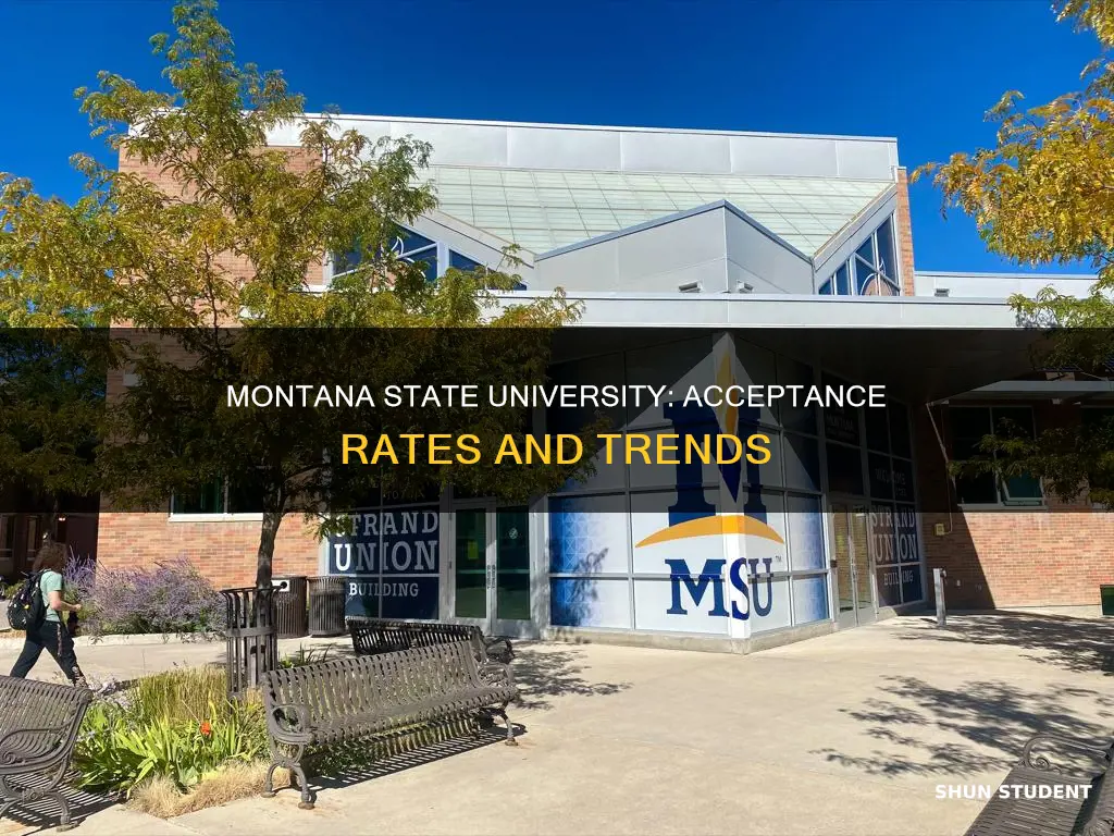 how many students are accepted to montana state university