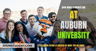 Exploring Auburn University's Student Population: Numbers and Insights