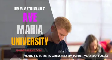 Exploring Ave Maria University's Student Population