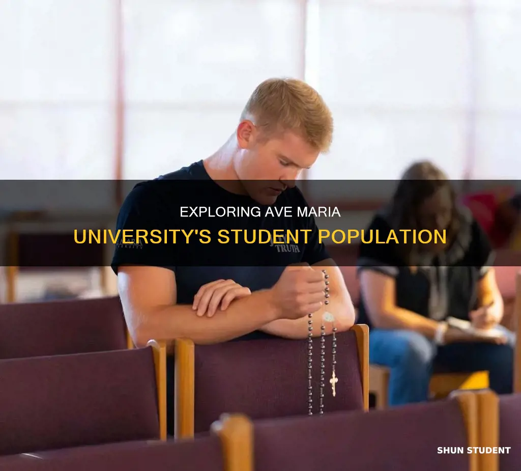 how many students are at ave maria university