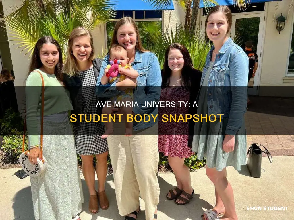 how many students are at ave maria university