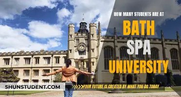 A Vibrant Community: Bath Spa University's Student Population