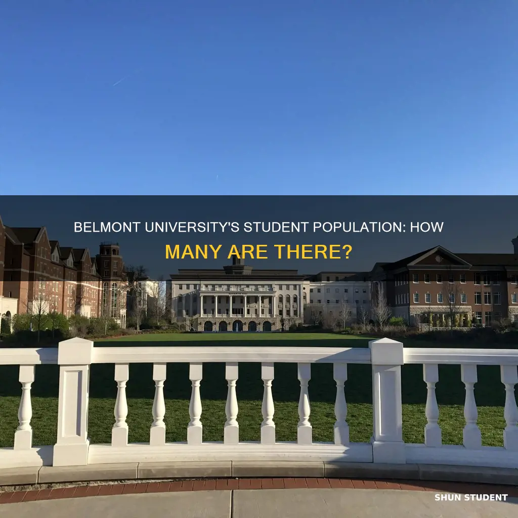 how many students are at belmont university